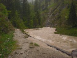 2013-06-01_Regina-F-Rau_Staffelalm_Hochwasser (165).JPG